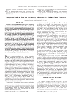 Phosphorus Pools in Tree and Intercanopy Microsites of a