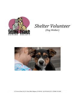 Shelter Volunteer - Second Chance Humane Society
