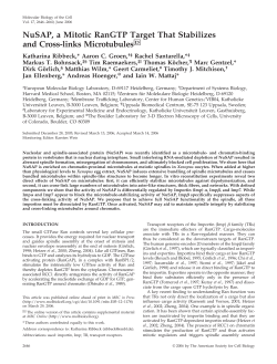 NuSAP, a Mitotic RanGTP Target That Stabilizes and