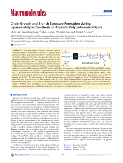 Chain Growth and Branch Structure Formation during Lipase