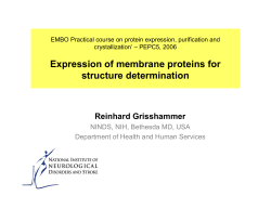 Expression of membrane proteins for structure