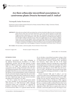 Are there arbuscular mycorrhizal associations in carnivorous plants