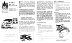 How to water your lawn