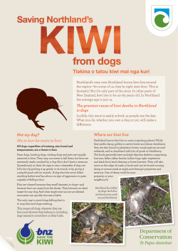 Saving Northland`s kiwi from dogs