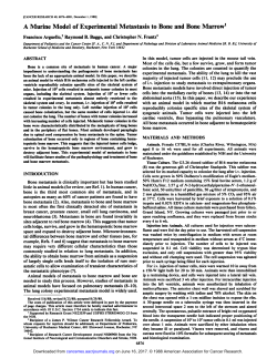 A Murine Model of Experimental Metastasis to