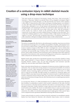 Creation of a contusion injury in rabbit skeletal muscle using a drop
