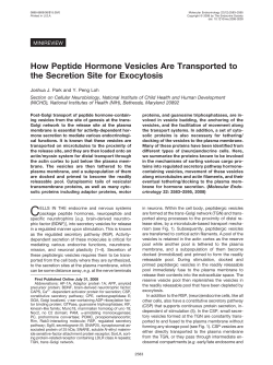 How Peptide Hormone Vesicles Are Transported to the Secretion