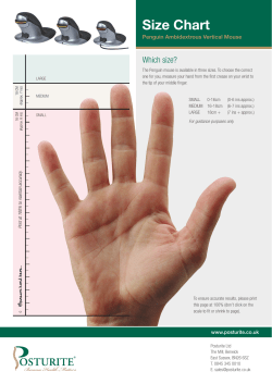 Size Chart - Posturite