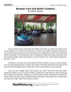 Bumper Cars and Roller Coasters