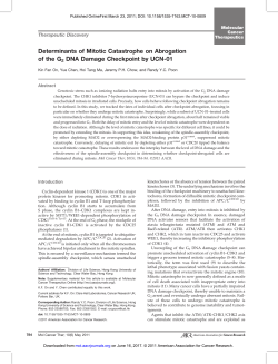 Determinants of Mitotic Catastrophe on Abrogation of the G2 DNA