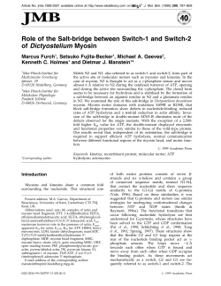 Role of the Salt-bridge between Switch-1 and Switch-2