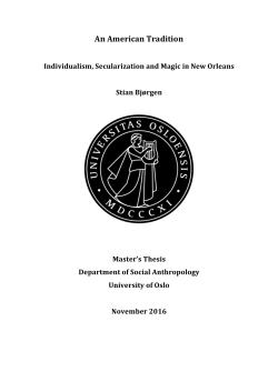 Masteroppgave-S tian-Bj-rgen-H-st-2016 - DUO