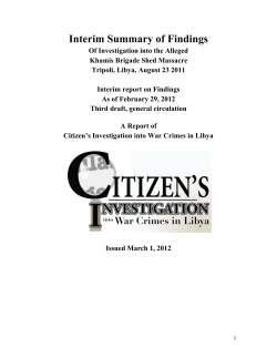 Interim Summary of Findings - The Citizen`s Investigation into War