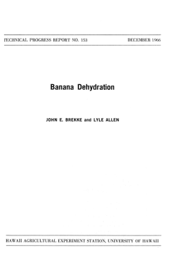 Banana Dehydration
