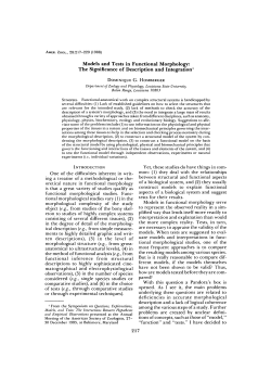 Models and Tests in Functional Morphology: The