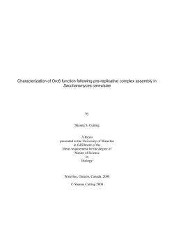 Multiple pre-replicative complex components are required in late G1