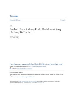 Perched Upon A Mossy Rock, The Minstrel Sang His Song To The Sea