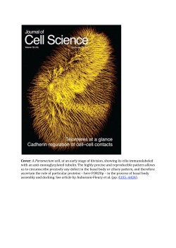 Cover: A Paramecium cell, at an early stage of division