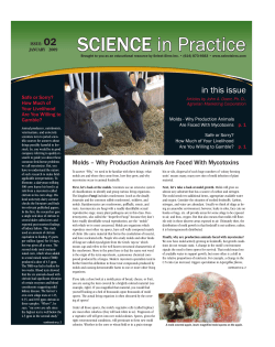 January 2009 Issue