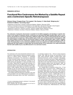 Functional Rice Centromeres Are Marked by a