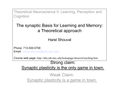 Strong claim: Synaptic plasticity is the only game in town. Weak