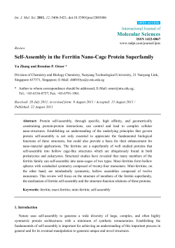 Self-Assembly in the Ferritin Nano-Cage Protein Superfamily