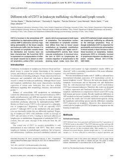 Different role of CD73 in leukocyte trafficking via blood and lymph