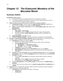 Chapter 12 The Eukaryotic Members of the Microbial