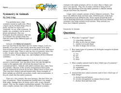 Symmetry in Animals Questions