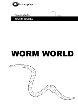 worm world - Interplay UK