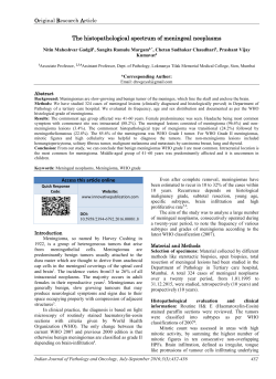 The histopathological spectrum of meningeal neoplasms