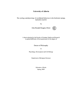 1*1 - Biblioth&egrave;que et Archives Canada