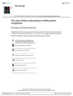 The role of RNA conformation in RNA