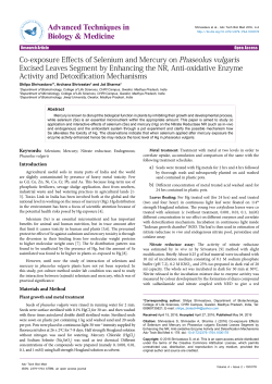 Co-exposure Effects of Selenium and Mercury on Phaseolus