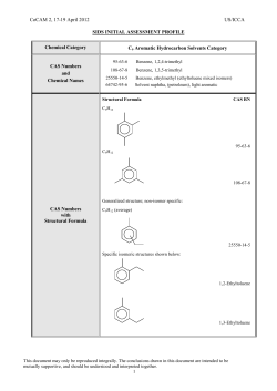 C9 Aromatic Hydrocarbon Solvents Category SIAP
