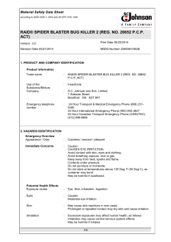 RAID® SPIDER BLASTER BUG KILLER 2 (REG. NO. 28652 P.C.P.