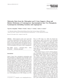 Molecular Data from the Chloroplast rpoC1 Gene Suggest a Deep
