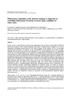 Photosystem I-dependent cyclic electron transport is