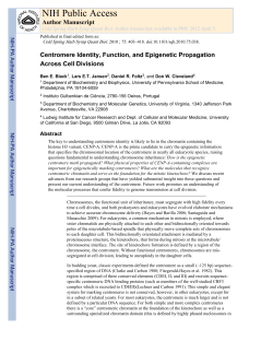 Centromere identity, function, and epigenetic propagation across
