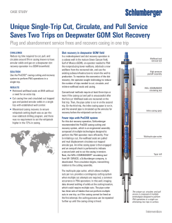 Unique Single-Trip Cut, Circulate, and Pull Service