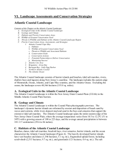 Atlantic Coastal Landscape