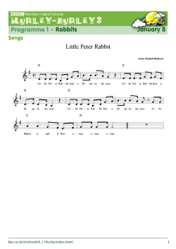 Programme 1 - Rabbits January 8