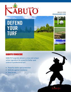 KABUTO FUNGICIDE