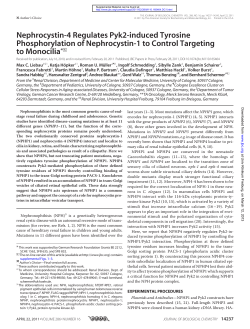 Nephrocystin-4 Regulates Pyk2-induced Tyrosine