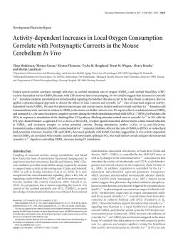 Activity-dependent Increases in Local Oxygen Consumption