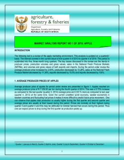 market analysis report