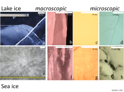 Lake ice Sea ice macroscopic microscopic