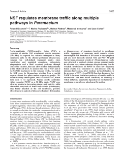 NSF in Paramecium - Journal of Cell Science
