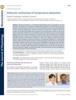 Molecular mechanisms of temperature adaptation