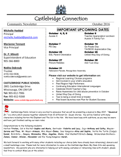 Castlebridge Connection